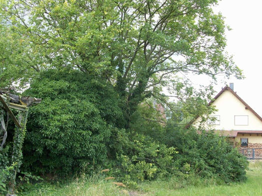 Grundstück zum Kauf als Kapitalanlage geeignet 63.000 € 545 m² Grundstück Biegen Briesen (Mark) 15518