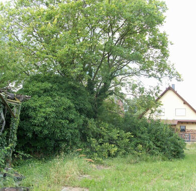 Grundstück zum Kauf 63.000 € 545 m² Grundstück Biegen Briesen (Mark) 15518