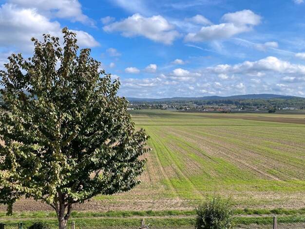 Wohnung zur Miete 900 € 3 Zimmer 79 m² 1. Geschoss Somborn Freigericht 63579