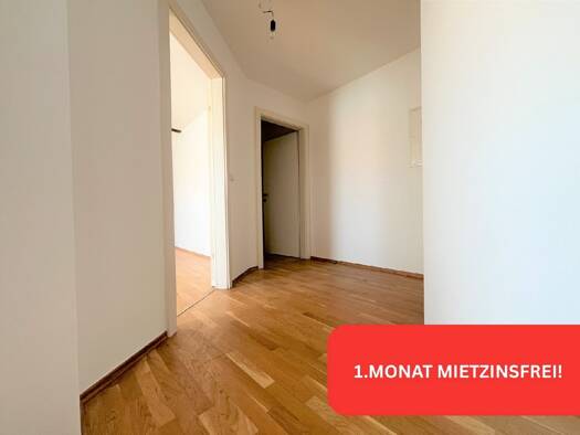 Wohnung zur Miete 440 € 2 Zimmer 51,8 m² Gries Graz 8020