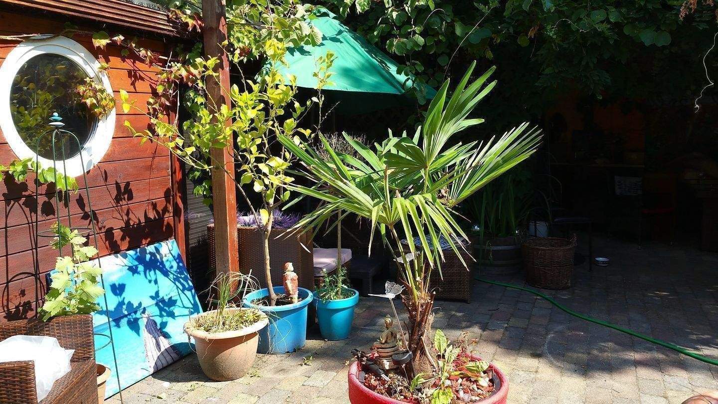 Property thumbnail 9