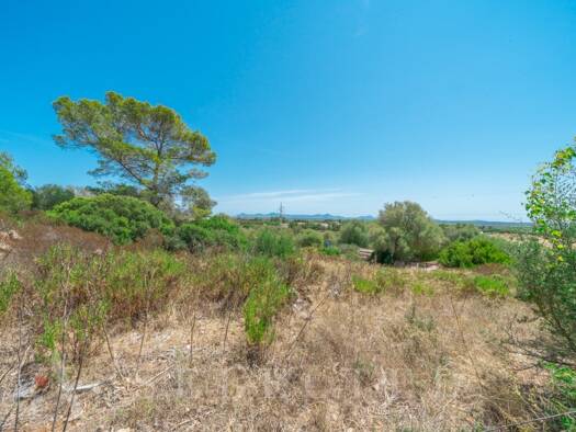 Grundstück zum Kauf 750.000 € 142.000 m² Grundstück Alcúdia
