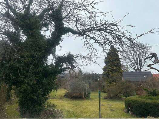 Grundstück zum Kauf 370.000 € 616 m² Grundstück frei ab sofort Reinbek 21465