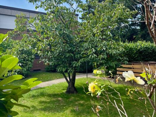 Wohnung zur Miete 910 € 3 Zimmer 91 m² Geschoss EG/1 frei ab 15.09.2025 Hochstraß Moers 47443