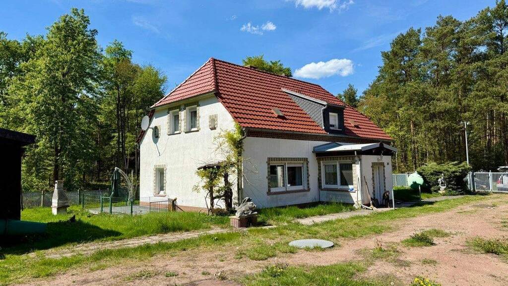 Einfamilienhaus zum Kauf 590.000 € 10 Zimmer 195 m² 4.505 m² Grundstück Hohenlubast Gräfenhainichen 06773
