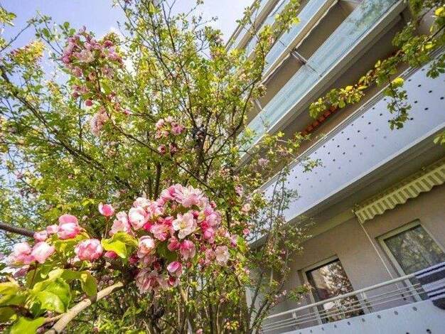 Wohnung zur Miete 752 € 4 Zimmer 77,5 m² 2. Geschoss frei ab 14.03.2026 Limbacher Weg 3 Gorbitz-Süd Dresden 01169