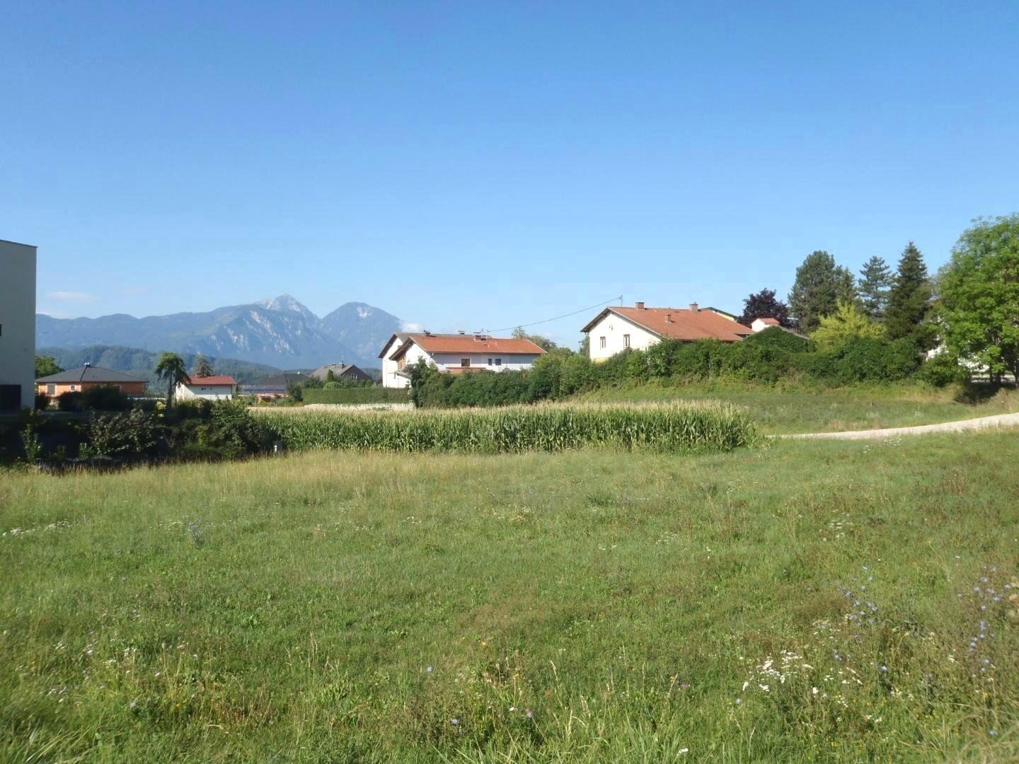 Grundstück zum Kauf 89.900 € 820 m²<br/>Grundstück Eberndorf 9141