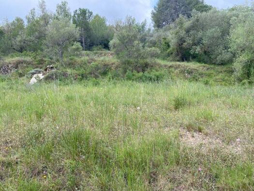 Wohn- und Gewerbegrundstück zum Kauf 68.000 € Castellvell del Camp 43392