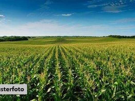 Land-/Forstwirtschaft zum Kauf 7.760 € 3.120 m² Grundstück Hachenburg 57627