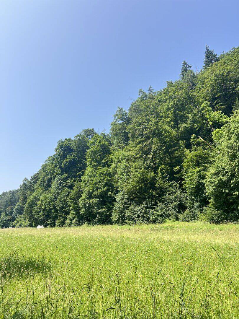 Grundstück zum Kauf - Ansicht 2
