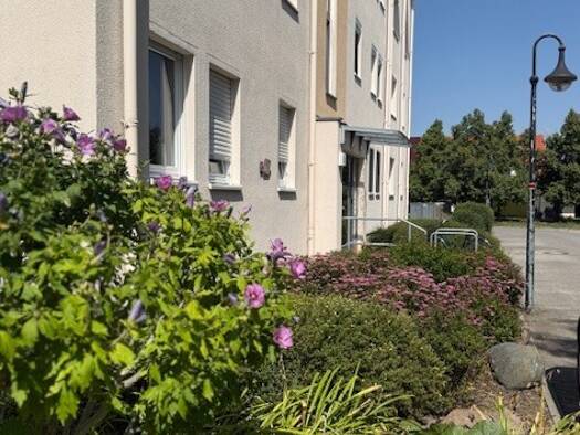 Wohnung zum Kauf 150.000 € 2 Zimmer 60,3 m² 1. Geschoss Borsdorf 04451