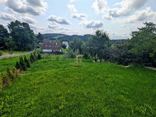 Sonstiges zum Kauf als Kapitalanlage geeignet 429.000 € 4 Zimmer 166 m² 650 m² Grundstück Haslach an der Mühl 4170