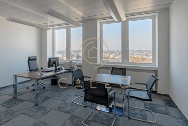 Bürofläche zur Miete provisionsfrei 12,80 € 2.982 m² Bürofläche teilbar ab 220 m² Zellhausen Offenbach am Main 63065