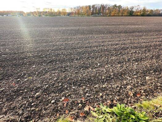 Landwirtschaftliche Fläche zum Kauf 37.021 m² 37.021 m² Grundstück Liblar Erftstadt 50374