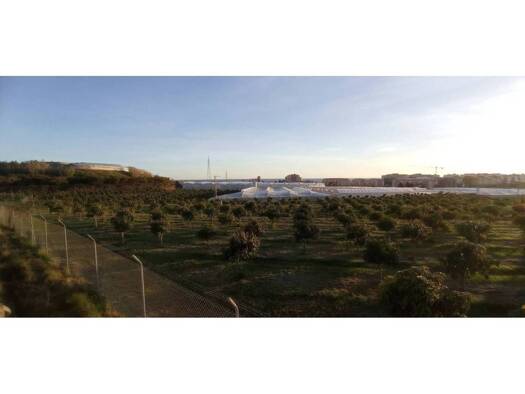 Acker-/Waldstück zum Kauf 87.000 € Algarrobo 29750