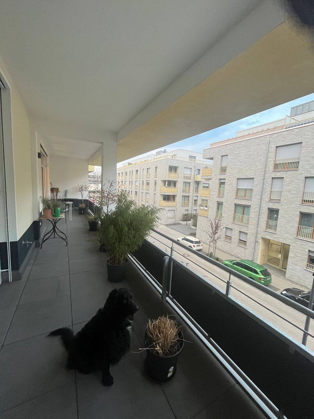 Property thumbnail 3