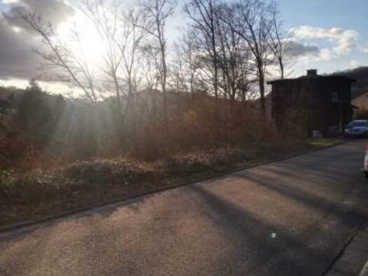 Landwirtschaftliche Fläche zur Versteigerung 8.221 m² 8.221 m² Grundstück Wallhalben 66917