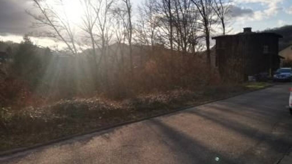 Landwirtschaftliche Fläche zur Versteigerung 8.221 m² 8.221 m² Grundstück Wallhalben 66917