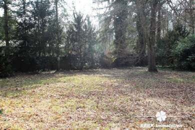 Grundstück zum Kauf 3.750 m² Grundstück Mainflingen Mainhausen 63533