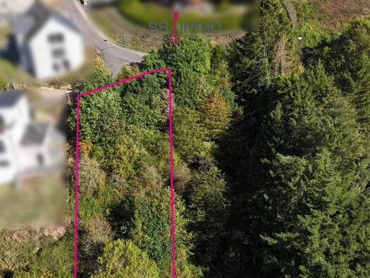 Grundstück zum Kauf 89.000 € 657 m² Grundstück Roth an der Our 54675