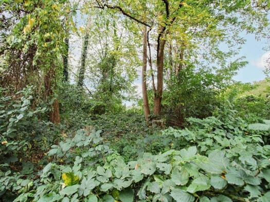 Grundstück zum Kauf 59.000 € 924,3 m² Grundstück Vochem Brühl 50321