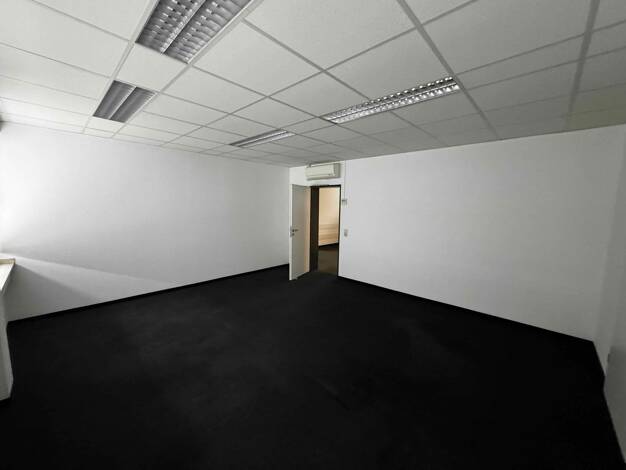 Bürofläche zur Miete provisionsfrei 7.950 € 1.055 m² Bürofläche Paul-Thomas-Straße Reisholz Stadtbezirk 9 40599