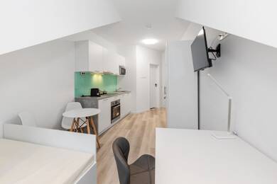 Wohnung zur Miete 795 € 1 Zimmer 25 m² Silhöferstraße 15-17 Altstadt Wetzlar 35578