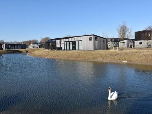 Einfamilienhaus zum Kauf provisionsfrei 244.250 € 4 Zimmer 79 m² 405 m² Grundstück Buitengronden 7-45 Zwartewaal 3238LZ