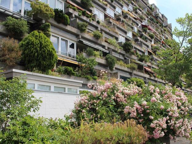 Wohnung zum Kauf provisionsfrei 240.000 € 2 Zimmer 81 m² EG Wegsfeld 40 B Davenstedt Ahlem - Badenstedt - Davenstedt 30455