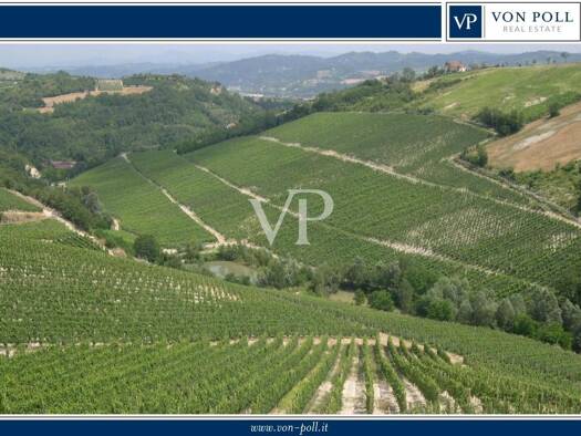 Gewerbegrundstück zum Kauf 4.500.000 € 500.000 m² Grundstück frei ab sofort Via Gallaretto 2 Terzo 15010