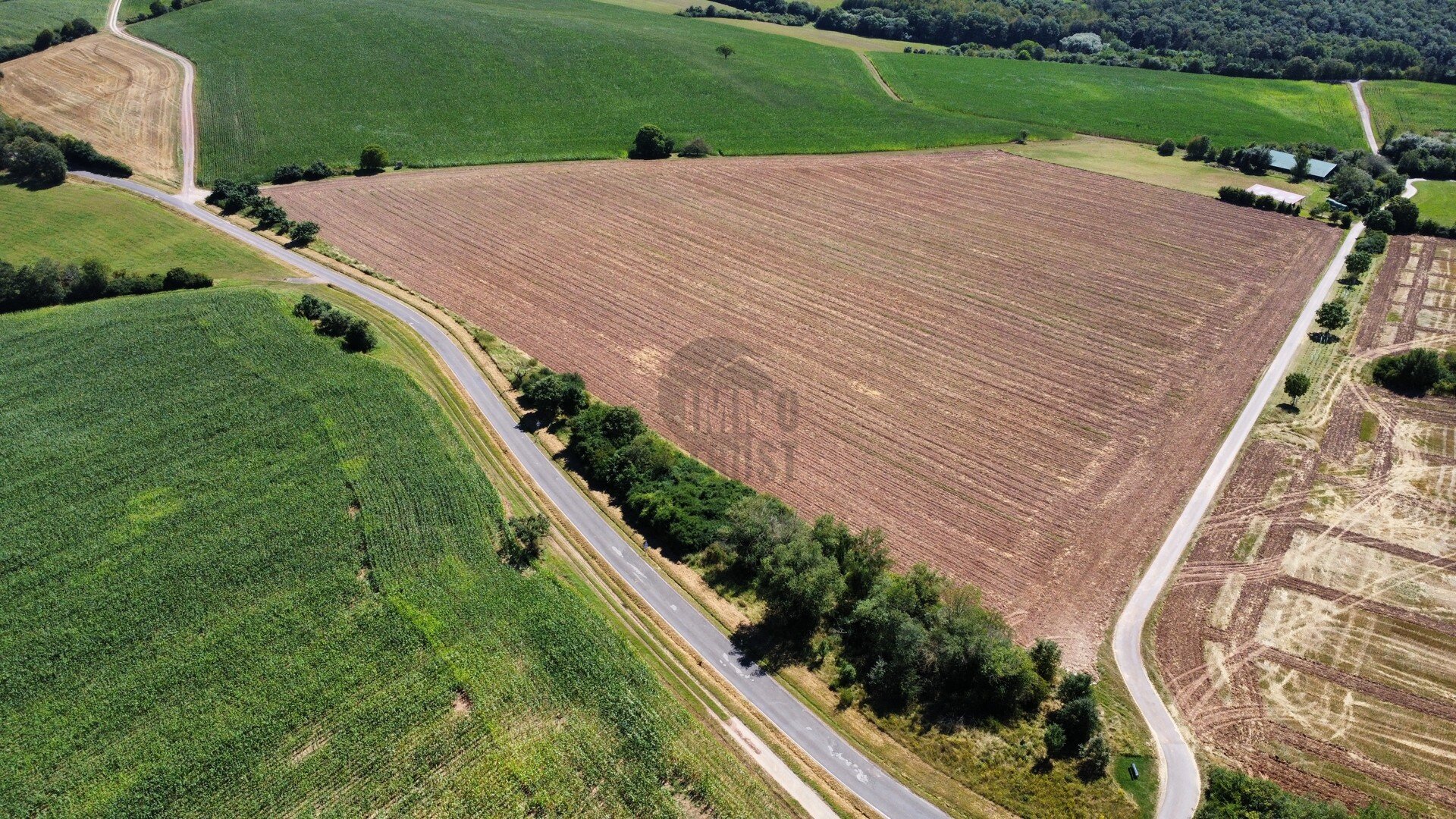 Land-/Forstwirtschaft zum Kauf 78.000 € 9.558 m²<br/>Grundstück Bockenau 55595