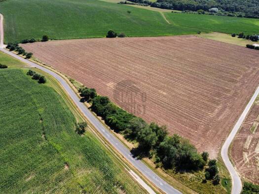 Land-/Forstwirtschaft zum Kauf 65.000 € 9.558 m² Grundstück Bockenau 55595