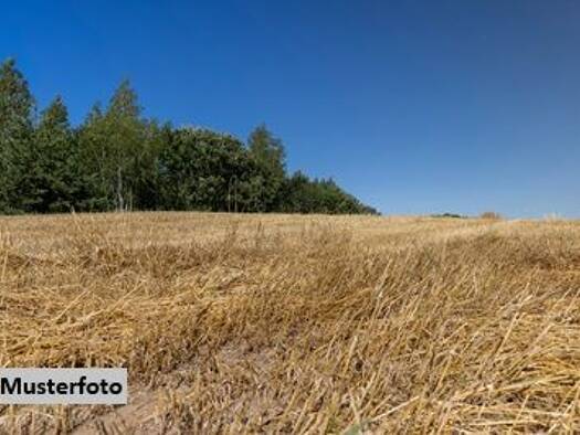 Land-/Forstwirtschaft zum Kauf 5.400 € 4.200 m² Grundstück Langen bei Bregenz 6932