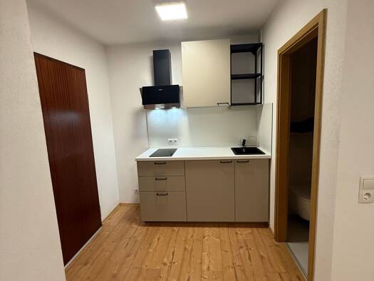 Studio zur Miete 530 € 1 Zimmer 25 m² Geschoss 1/2 frei ab sofort Innenstadt Kaiserslautern 67663