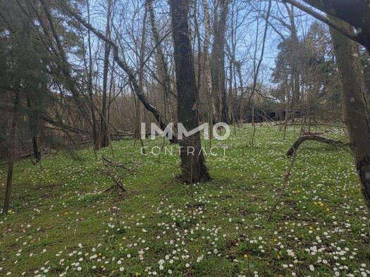 Grundstück zum Kauf 530.000 € 3.409 m² Grundstück Pressbaum 3021