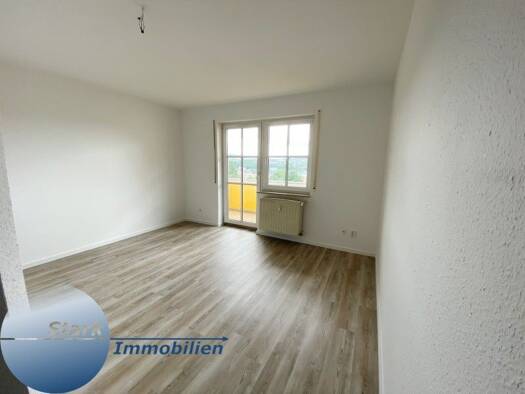 Wohnung zur Miete 300 € 2 Zimmer 47 m² 2. Geschoss Straßberger Straße 87 Stadtmitte Plauen 08527
