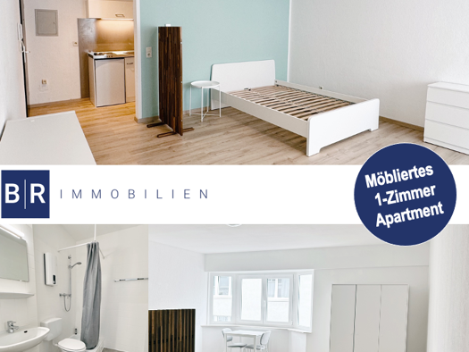 Studio zur Miete 750 € 1 Zimmer 32,2 m² frei ab 15.04.2026 Darmstadt 64283