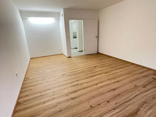 Wohnung zur Miete 600 € 1 Zimmer 32 m² Geschoss 1/5 frei ab 15.02.2026 Stephanstraße 39 St Peter Nürnberg 90478
