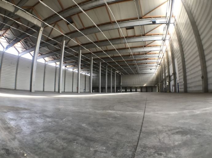 Logistikzentrum zur Miete 5.500 m²<br/>Lagerfläche von 5.500 m² bis 5.500 m²<br/>Teilbarkeit Angersdorf Halle (Saale) 06110