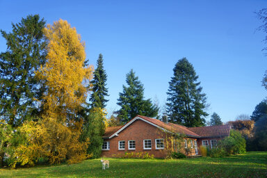 Bungalow zum Kauf 690.000 € 5,5 Zimmer 145 m² 2.000 m² Grundstück Schätzendorf Egestorf 21272