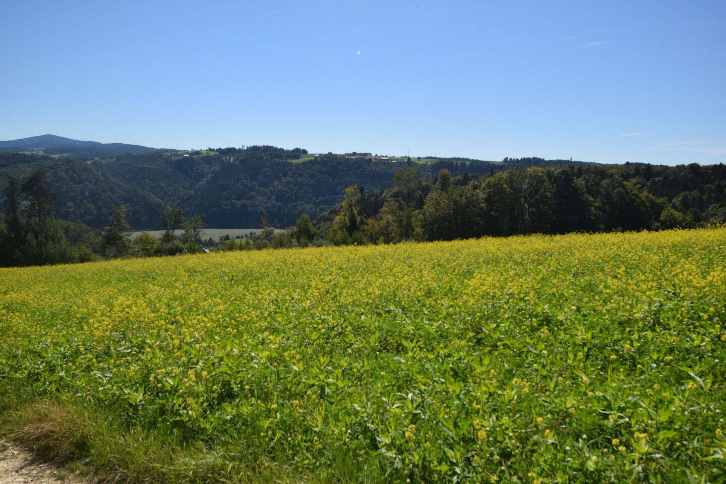 Land-/Forstwirtschaft zum Kauf - Ansicht 4