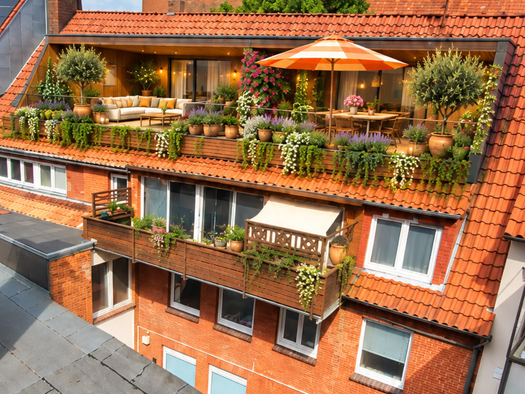 Mehrfamilienhaus zum Kauf als Kapitalanlage geeignet 387.000 € 272 m² 237 m² Grundstück An der St. Marien-Kirche 3 Uelzen Uelzen 29525