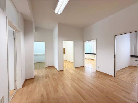 Bürofläche zur Miete 10,20 € 98 m² Bürofläche Villacher Vorstadt Klagenfurt am Wörthersee 9020