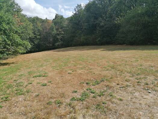 Grundstück zum Kauf 800.000 € 5.400 m² Grundstück Bostalstraße 1 Bosen Nohfelden 66625