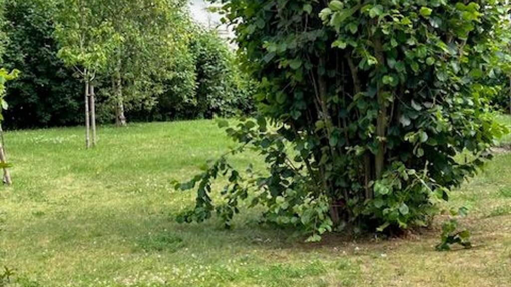 Studio zur Miete 720 € 4 Zimmer 87 m² Geschoss EG/2 frei ab sofort Bruchhof Homburg 66424