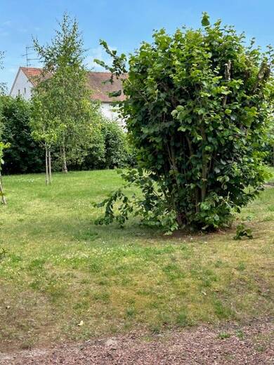 Studio zur Miete 720 € 4 Zimmer 87 m² Geschoss EG/2 frei ab sofort Bruchhof Homburg 66424