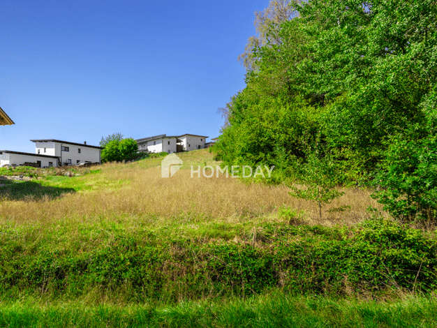 Grundstück zum Kauf 139.200 € 883 m² Grundstück Witzmannsberg Witzmannsberg 94104