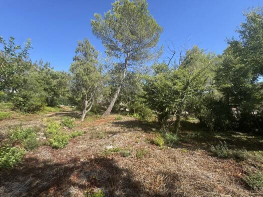 Grundstück zum Kauf 950.000 € 3.375 m² Grundstück Opio 06650