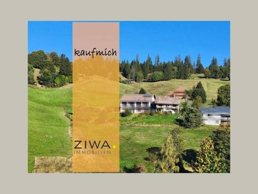 Haus zum Kauf 280.000 € 9 Zimmer 190 m² 1.242 m² Grundstück Todtnauberg 79674