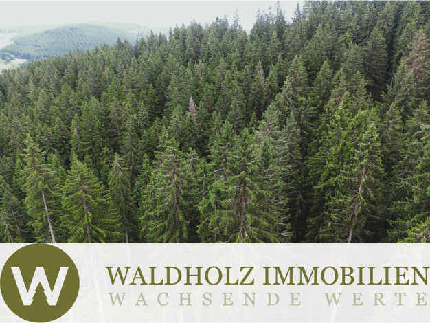 Forstwirtschaft zum Kauf 410.000 € 105.950 m² Langenbach Vöhrenbach 78147